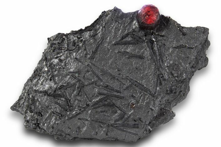 Red Embers Garnet in Graphite - Massachusetts #301163